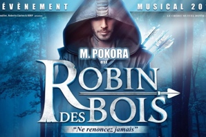 robin_des_bois_site.jpg